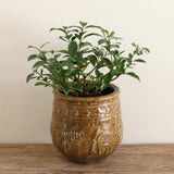 Cairo Planter Medium