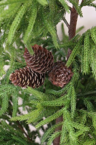 Pinecone Pick 29cm