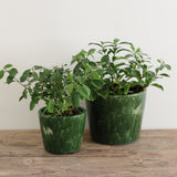 Moss Green Medium Planter