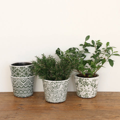 Green & White Patterned Planters