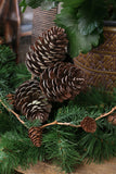 Pinecone Pick 29cm