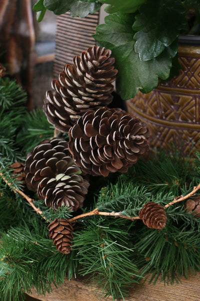 Pinecone Pick 29cm